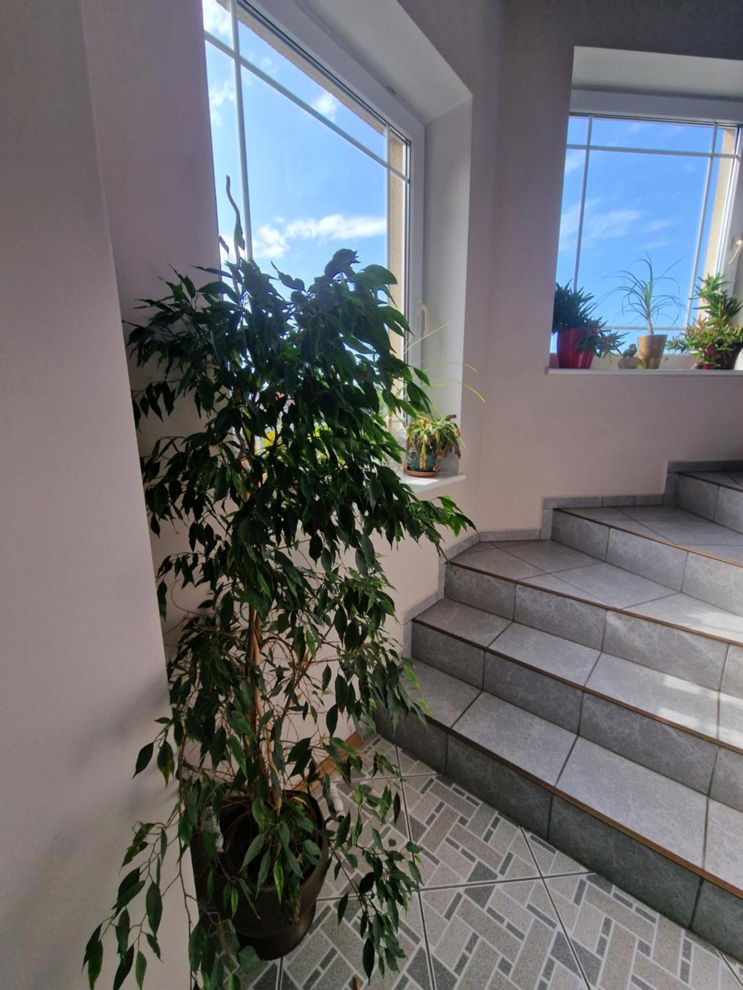 Villa Victoria Leba Exterior foto